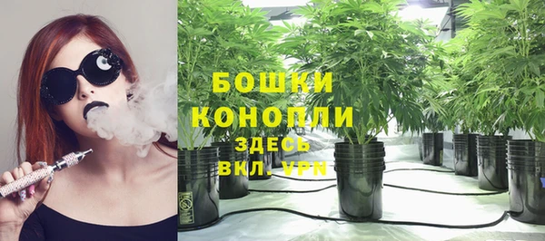 2c-b Нягань