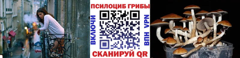 Псилоцибиновые грибы ЛСД  купить   Дзержинск 