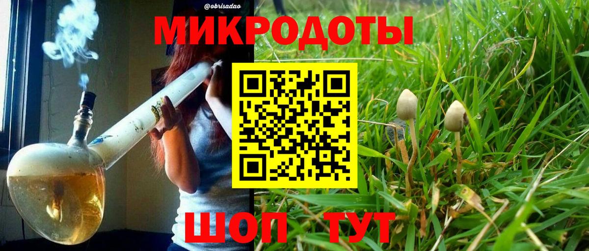 Галлюциногенные грибы Psilocybine cubensis Дзержинск