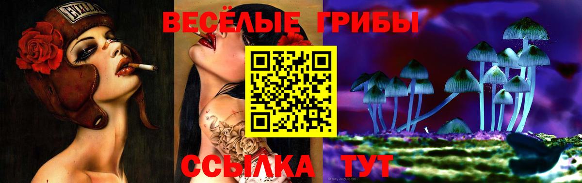 Псилоцибиновые грибы мицелий  Дзержинск 